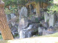 IMG_3309.JPG